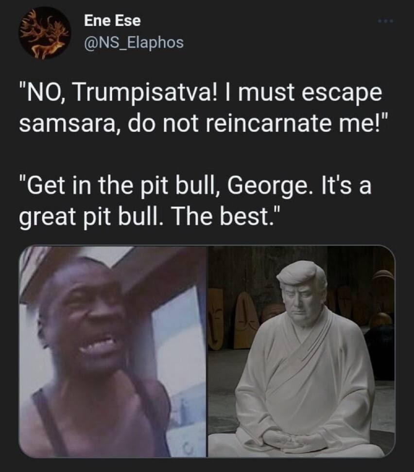 Епе Езе “NO, Trumpisatva! must escape Samsara, not reincarnate “Get in the pit bull, George. It's a great pit bull. The