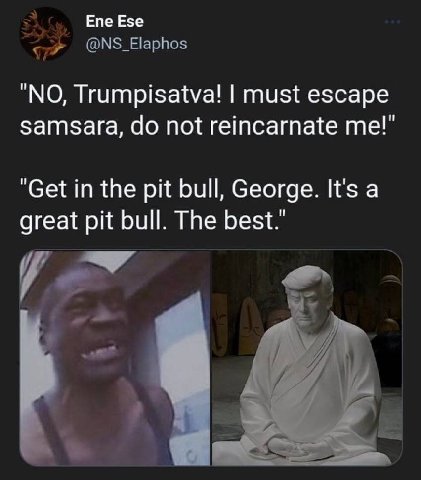 Епе Езе “NO, Trumpisatva! must escape Samsara, not reincarnate “Get in the pit bull, George. It's a great pit bull. The