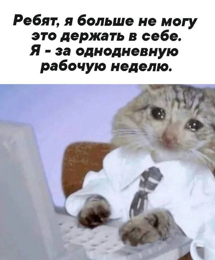 Ребят, я больше не могу это держать в себе. Я за однодневную рабочую неделю. a