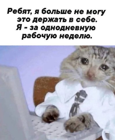 Ребят, я больше не могу это держать в себе. Я за однодневную рабочую неделю. a