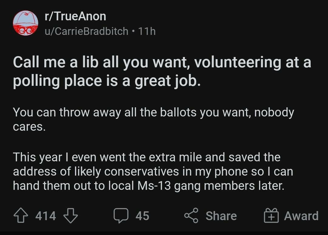 г/ТгиеАпоп Call me a lib all you want, volunteering at a polling place is a great job. You can throw away all the ballots you want, nobody cares. This year even went the extra mile and saved the addre