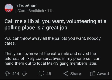 г/ТгиеАпоп Call me a lib all you want, volunteering at a polling place is a great job. You can throw away all the ballots you want, nobody cares. This year even went the extra mile and saved the addre