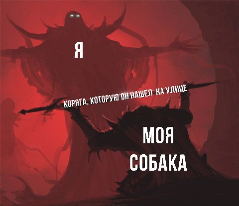 КОТОРУЮ МОЯ СОБАКА