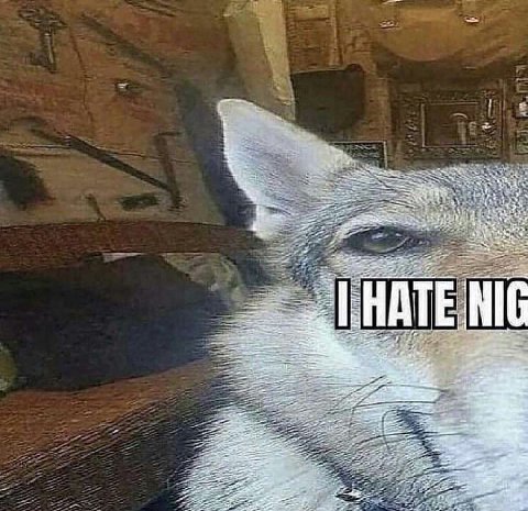 NIG
