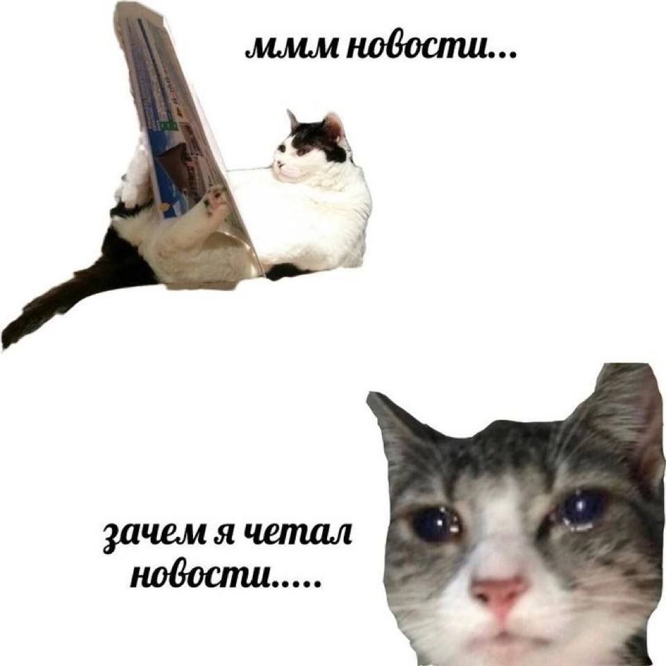 ‚ммм новости... зачем я четал