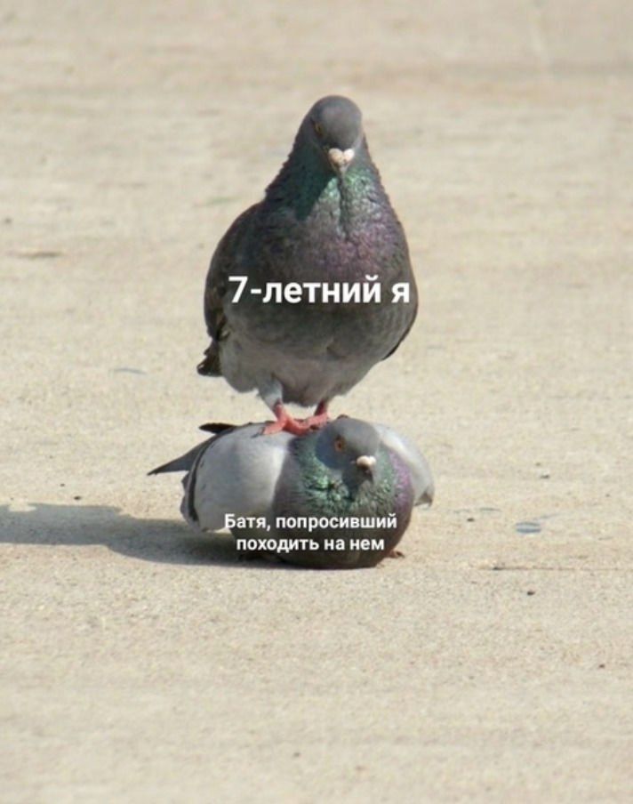 7-летний я _Батя, попросивший походить нанем