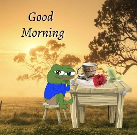 Good Morning 53%