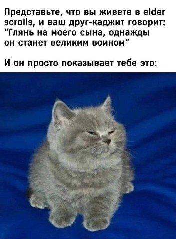 Представьте, что вы живете в elder scrolls, и ваш друг-каджит говорит: "Глянь на моего сына, однажды он станет великим воином” И он просто показывает тебе это: