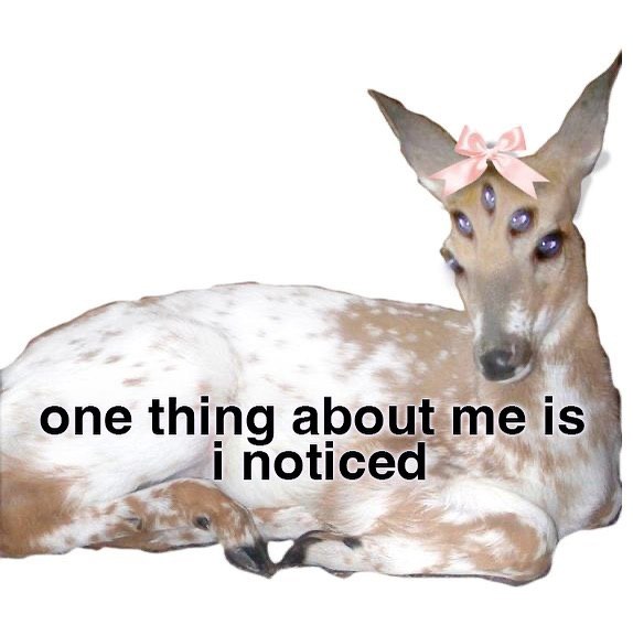 one thing about is