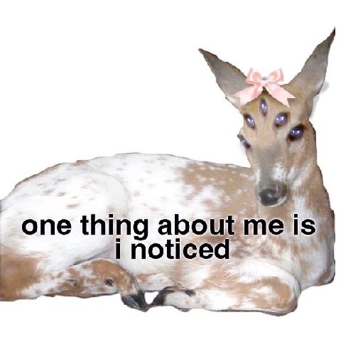 one thing about is