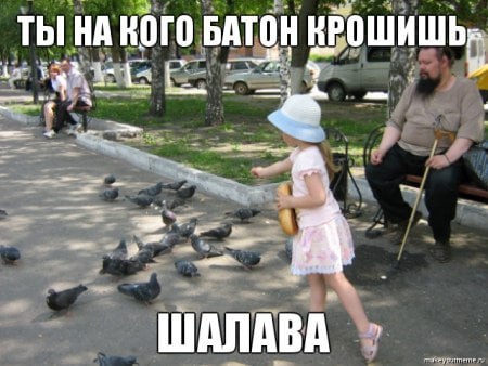 ТЫ НА КОГО БАТОН КРОШИШЬ» 9 7 ШАЛАВА