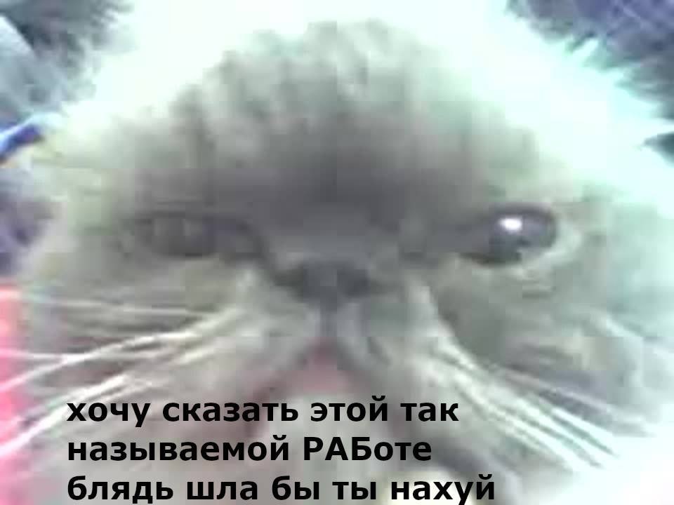 1 блядь шла бы ты нахуй