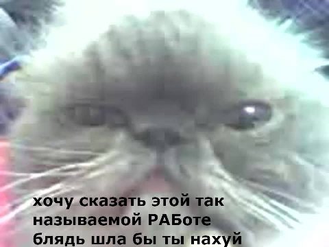 1 блядь шла бы ты нахуй