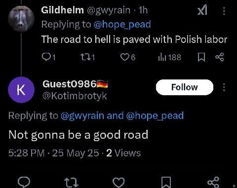 Gildhelm @gwyrain Replying to @hope pead The road to hell is paved with Polish labor @Kotimbrotyk Replying to @gwyrain and @hope pead Not gonna be a good road 5:28 25 Мау 25-2 Views