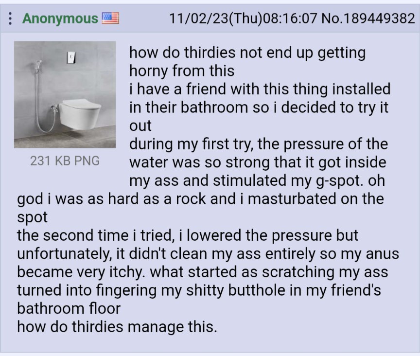 Anonymous 11/02/23(Thu)08:16:07 No.189449382 how thirdies not end up getting horny from this i have a friend with this thing installed in their bathroom so i decided to try it out 231 PNG during my fi