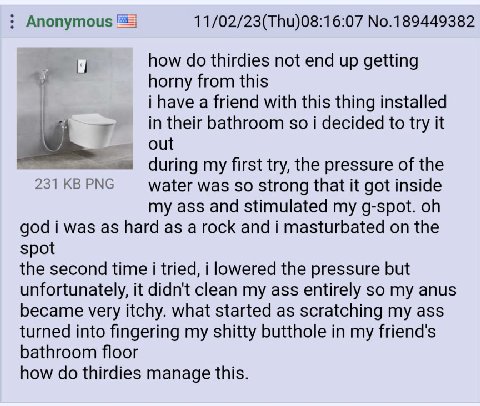 Anonymous 11/02/23(Thu)08:16:07 No.189449382 how thirdies not end up getting horny from this i have a friend with this thing installed in their bathroom so i decided to try it out 231 PNG during my fi