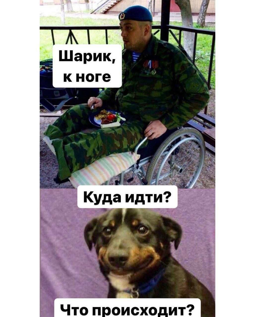 Шарик, к Hore Что происходит?