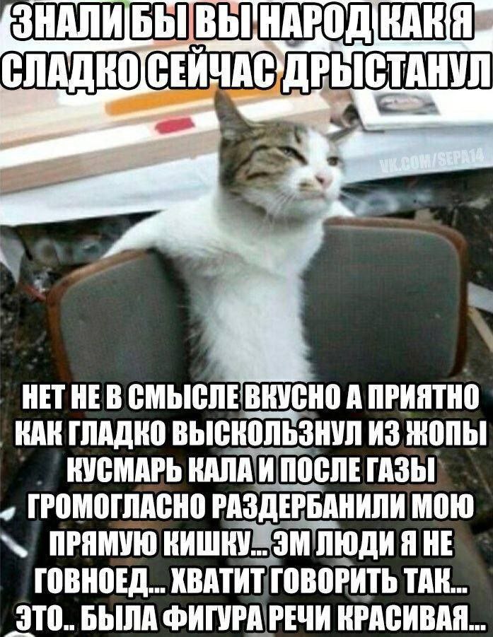 РЫСТАНУЛ HET HE А ПРИЯТНО КАК ГЛАДКО ВЫСКОЛЬЗНУЛ ИЗ КУСМАРЬ КАЛА И ПОСЛЕ ГАЗЫ ГРОМОГЛАСНО РАЗД ЕРБАНИЛИ МОЮ ПРЯМУЮ НЕ ГОВНОЕД... ГОВОРИТЬ TAK... БЫЛА КРАСИВАЯ...