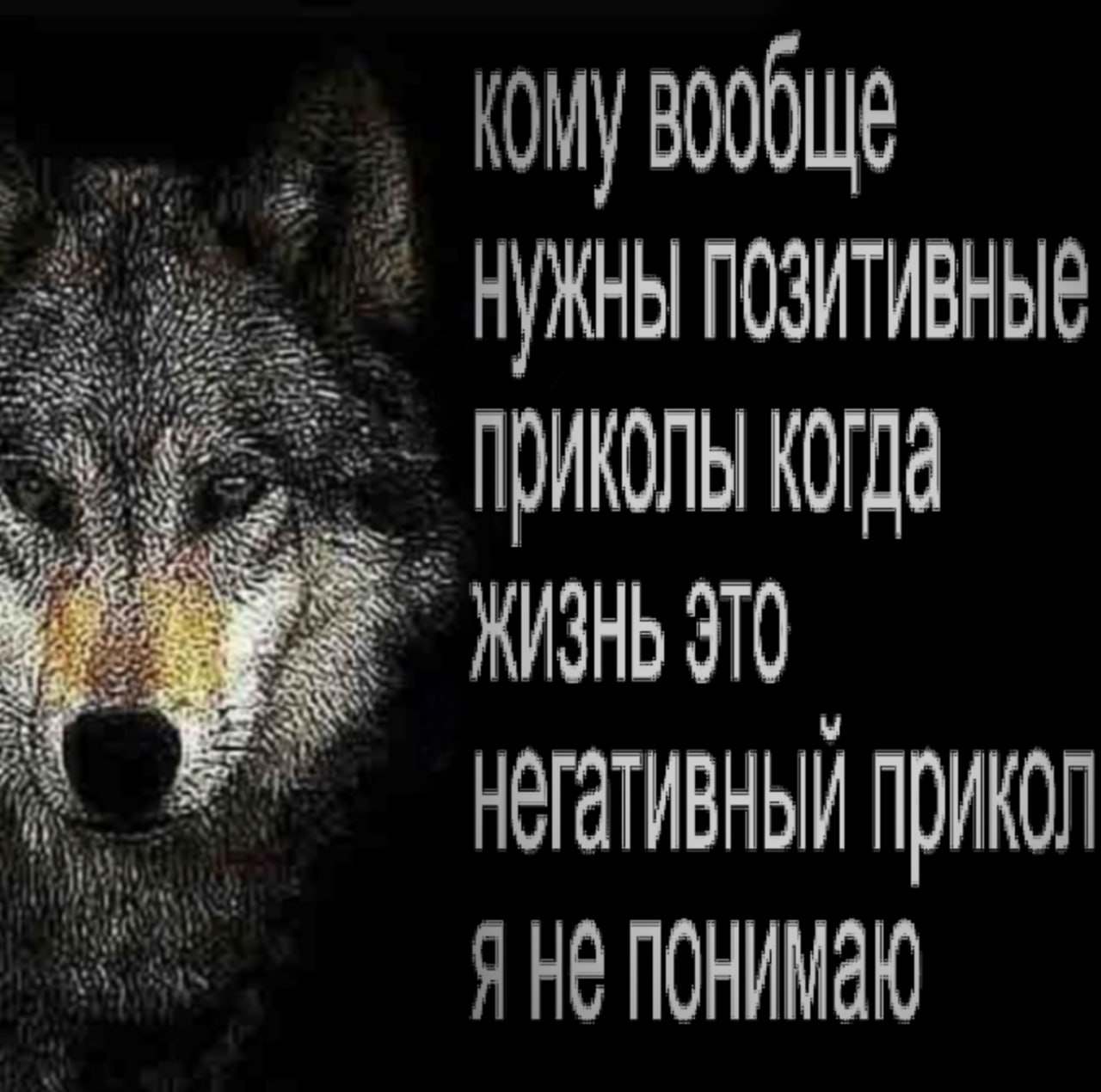 УЖНЫ ПОЗИТИВНЫЕ приколы КОГДА прикол