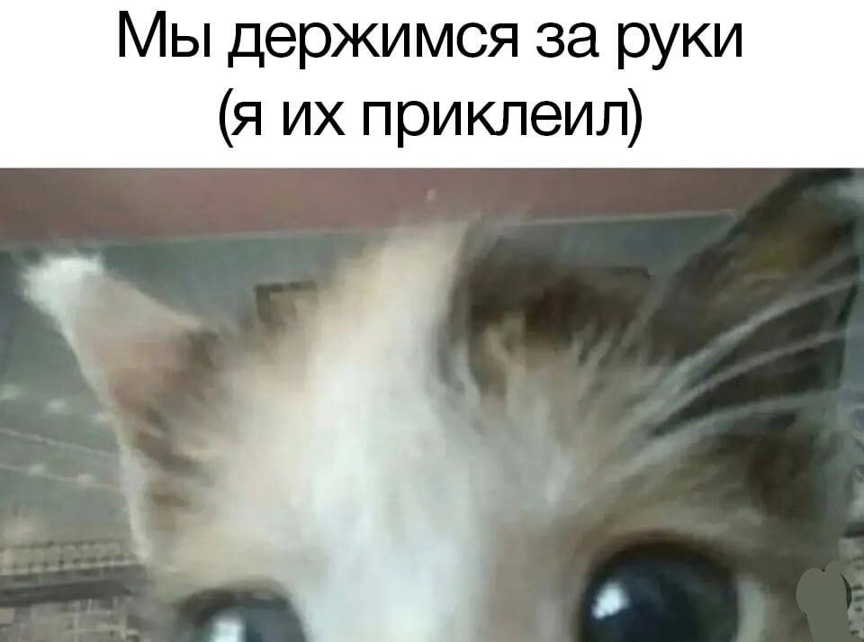 Мы держимся за руки (я приклеил)