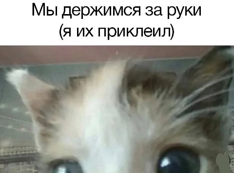 Мы держимся за руки (я приклеил)