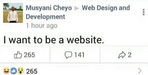 Мизуап! Cheyo Web Design and Development 1 hour ago want to be a website. 265 2 265