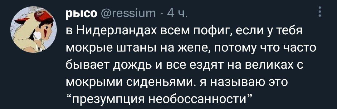 рысо в Нидерландах всем пофиг, если у тебя мокрые штаны на жепе, потому что часто бывает дождь и все ездят на великах с мокрыми сиденьями. я называю это “презумпция необоссанности”