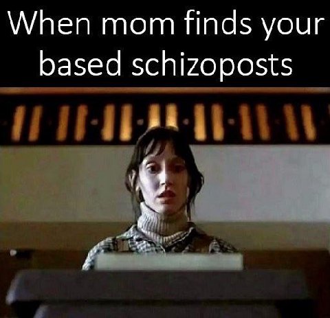 When mom finds your based schizoposts