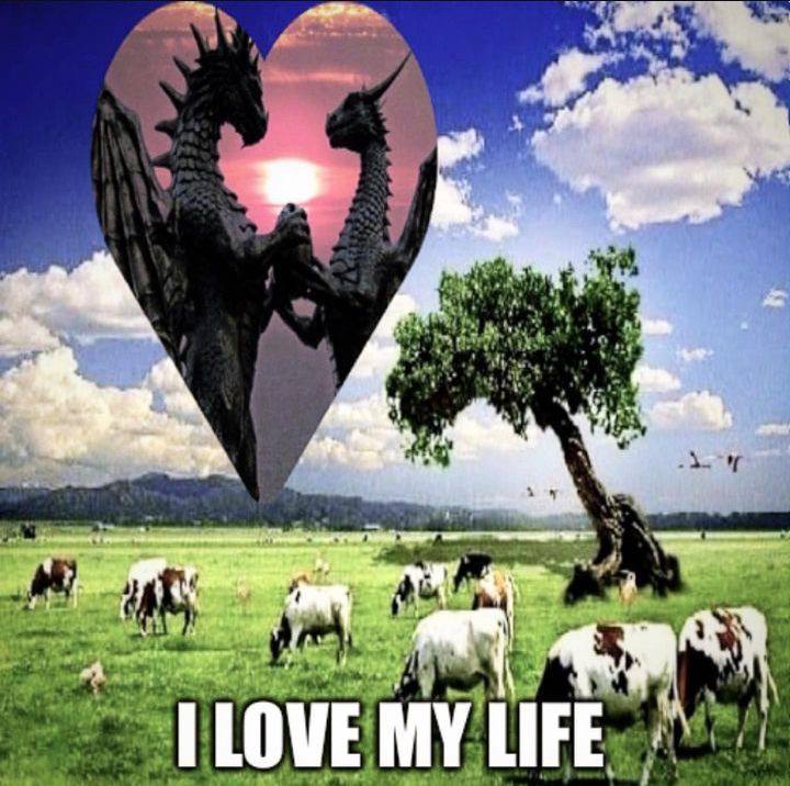 LOVE MY