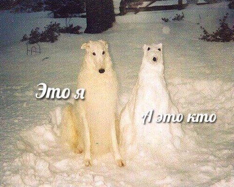 у У The 7 Я у у
