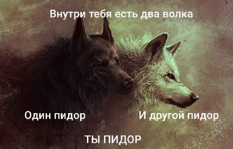 Внутри тебя есть два волка Один пидор И другой пидор ТЫ ПИДОР