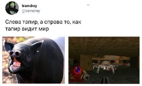 tramdrey @tramdrey Слева тапир, a справа то, как тапир видит мир