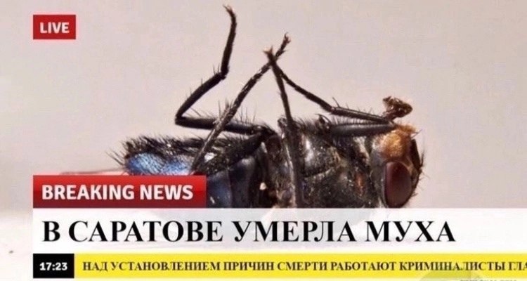 BREAKINGNEWS В САРАТОВЕ УМЕРЛА НАД УСТАНОВЛЕНИЕМ ПРИЧИН СМЕРТИ РАБОТАЮТ КРИМИНАЛИСТЫ