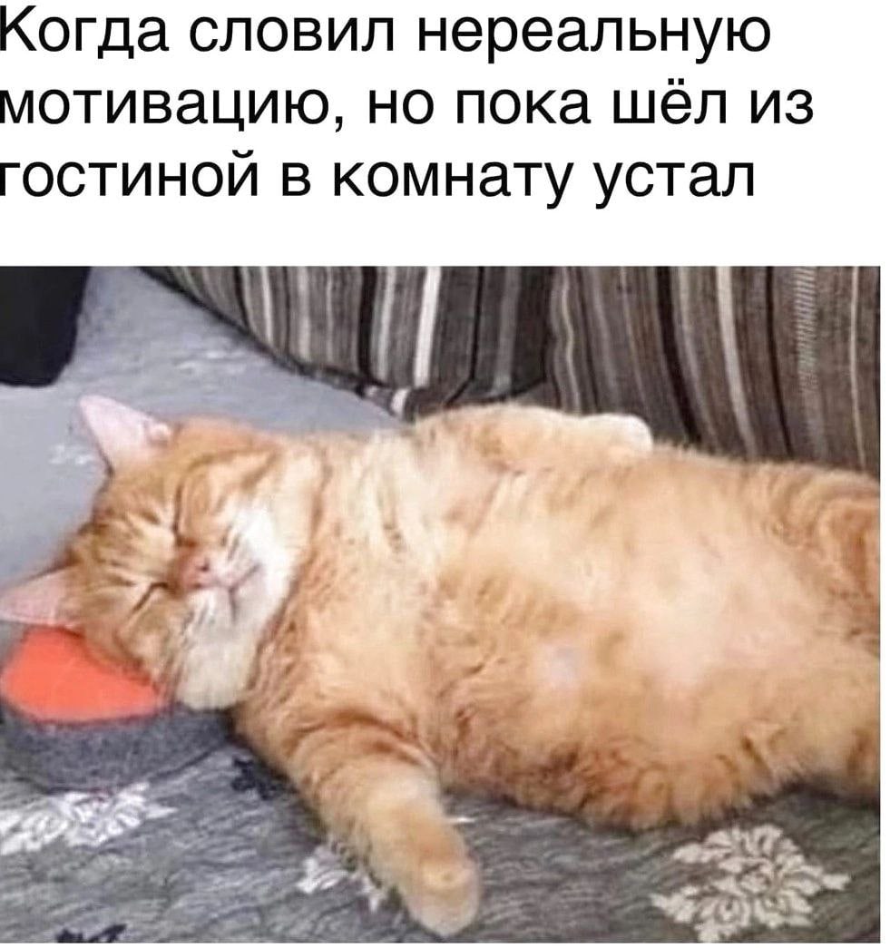 Когда словил нереальную мотивацию, но пока шёл из гостиной в комнату устал