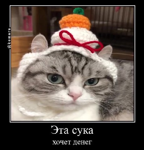 хочет денег