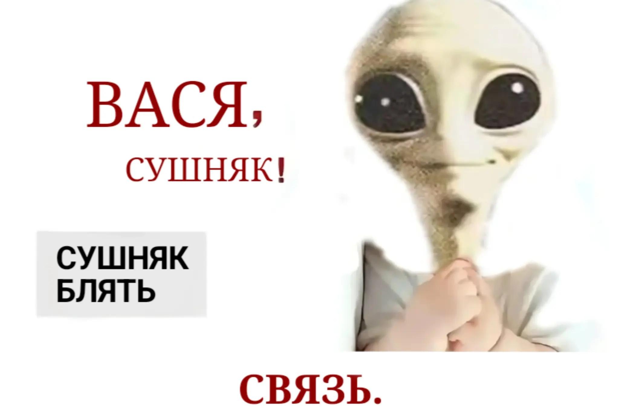 ВАСЯ, СУШНЯК! СУШНЯК БЛЯТЬ СВЯЗЬ.