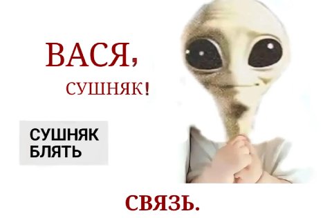 ВАСЯ, СУШНЯК! СУШНЯК БЛЯТЬ СВЯЗЬ.