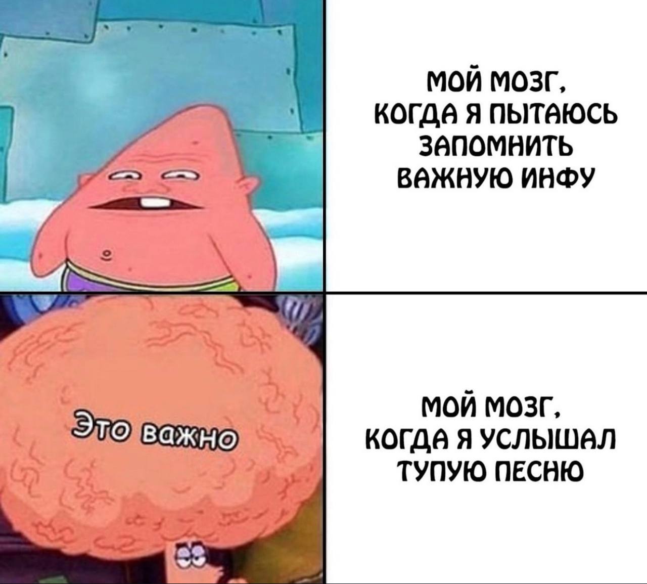 МОЙ МОЗГ, когда я ЗАПОМНИТЬ ВАЖНУЮ ИНФУ МОЙ МОЗГ, УСЛЫШаЛ ТУПУЮ ПЕСНЮ