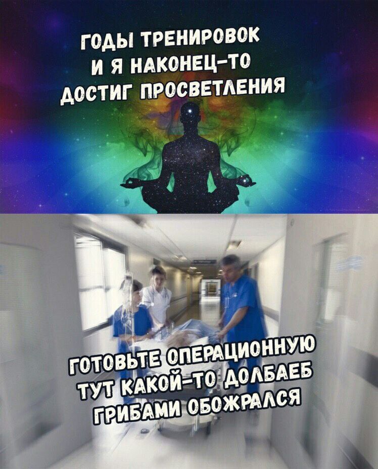 ГОДЫ ТРЕНИРОВОК И Я НАКОНЕЦ-ТО i™ Ati РАЦИОННУЮ ГОТОВЬТЕ One ABAEB KOU-TC ГРИБА ОЖРАЛСЯ