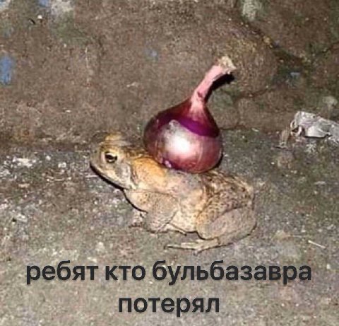 AS 4 it я 4 5 ребят кто ПОТ ерял