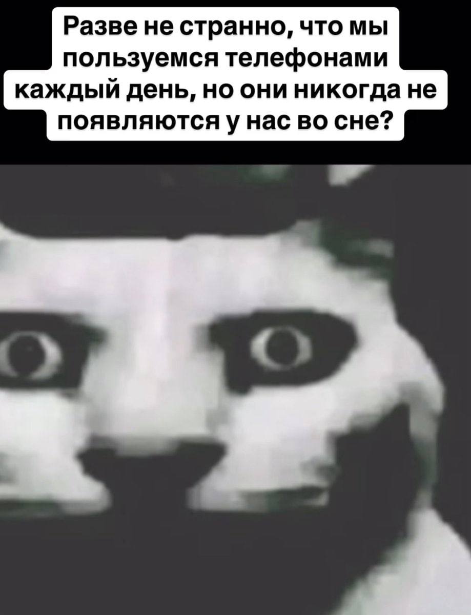 Разве не странно, что мы пользуемся телефонами каждый день, но они никогда не появляютсяу нас во сне? 4