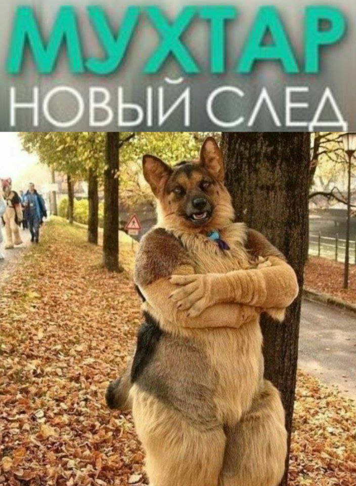 НОВЫЙ СЛЕД 2 4