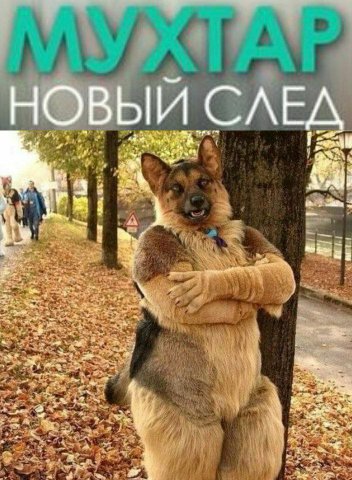 НОВЫЙ СЛЕД 2 4