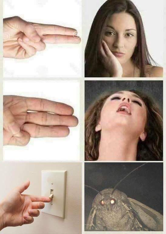 4 я #4