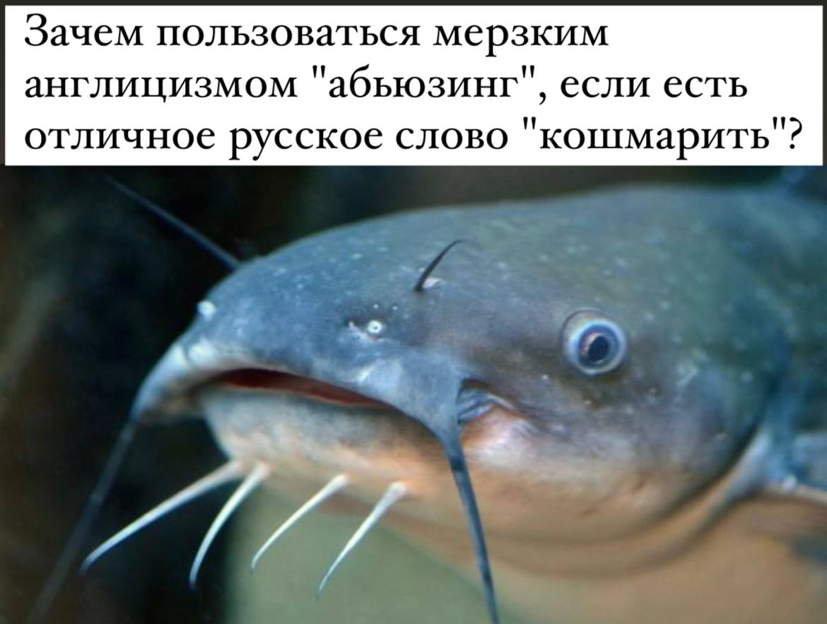 Зачем пользоваться мерзким англицизмом "абьюзинг", если есть отличное русское слово "кошмарить"?