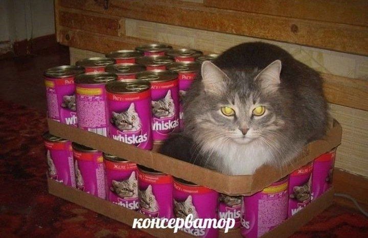 консерватор