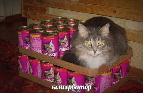 консерватор