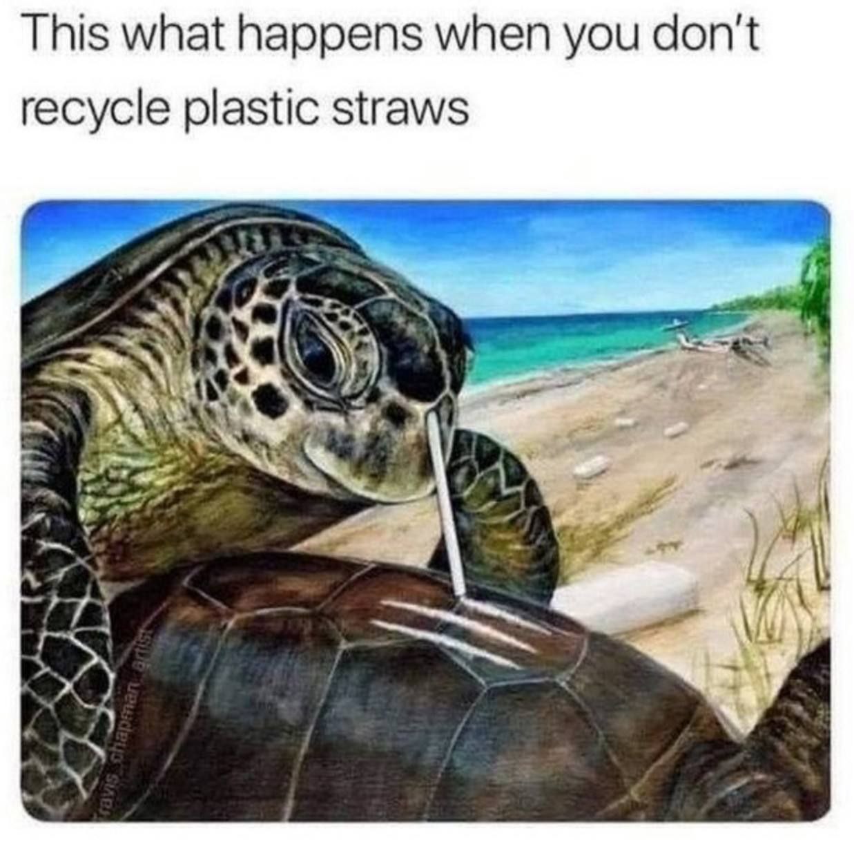 This what happens when you don't recycle plastic straws у
