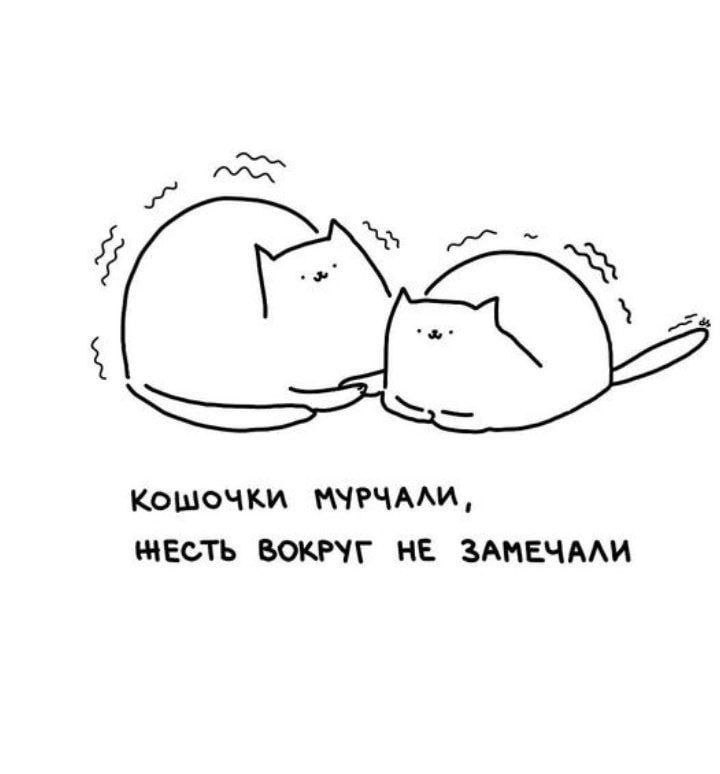 МУРЧАЛИ, ЧЕСТЬ ВОКРУГ HE ЗАМЕЧАЛИ
