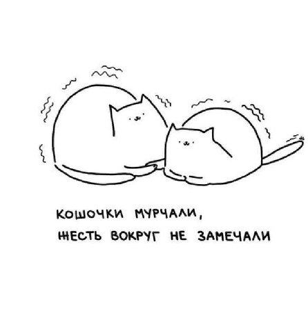 МУРЧАЛИ, ЧЕСТЬ ВОКРУГ HE ЗАМЕЧАЛИ